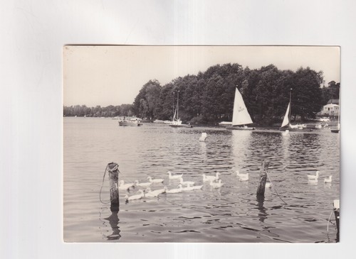 F1903 ansichtskarte goyatz - f1903),