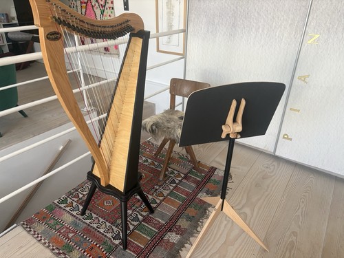 Hakenharfe harfe dusty - hakenharfe, strings