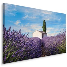 Canvas leinwand bilder - bilder, xxl
