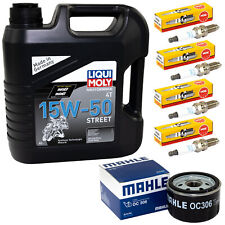 Set Öl Inspektion für BMW R