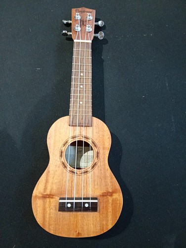 Tanglewood tribal spirit - tribal,