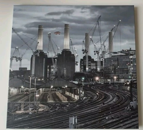 Pink floyd animals - pink,