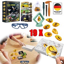 Bernstein Ausgrabungsset Für Kinder Edelsteine Ausgraben Für Kinder Ab 3 Jahre