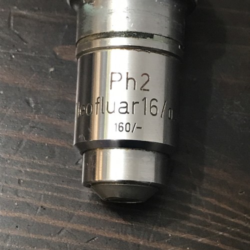 Zeiss 16x ph2 - ,