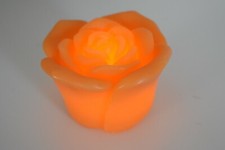 Elambia flammenlose rosen - elambia,