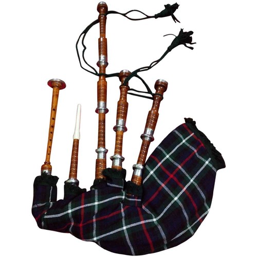 Schottischer großer highland - schottischer,