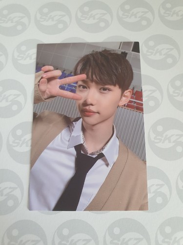 Stray kids life felix - stray, go