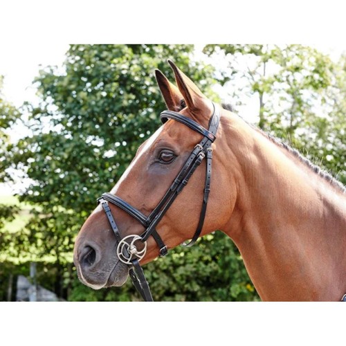 John whitaker barton flash - barton,