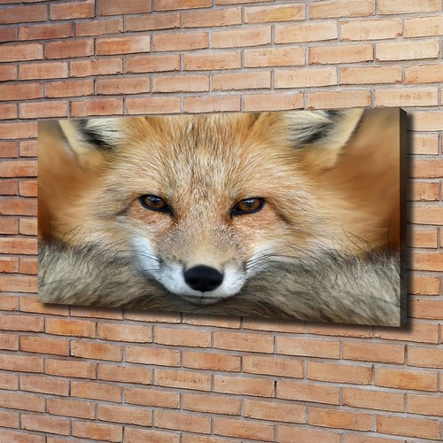 Leinwandbild kunst druck - leinwandbild, kunst-druck