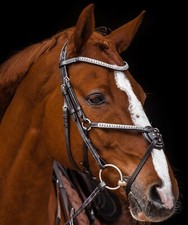 Mexikanisches Reithalfter