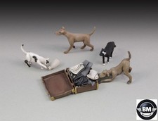 Royal Model Dogs and Cats /