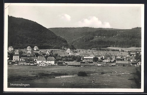 Immendingen ortsansicht mit - ortsansicht,