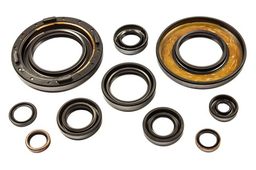 Motor simmeringe satz - motor, 10