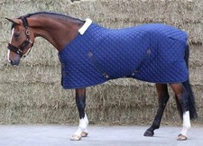 KENTUCKY Winter-Stalldecke