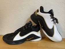 Nike Lebron (James) XXII 22