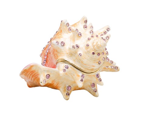 Muschel pillendose schmuckdose - muschel,