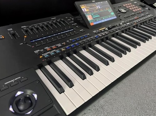 Korg pa5x professonal - professonal, 61