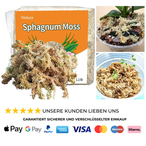 Sphagnummoos 500g für
