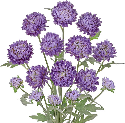 5er set chrysantheme - 5er-set,