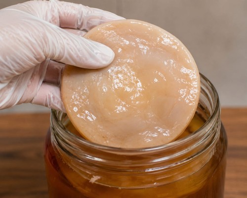 Kombucha teepilz scoby starter - kombucha,
