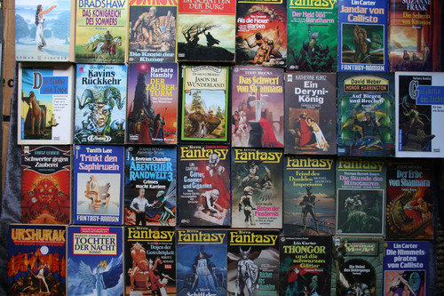 Fantasy science fiction - fantasy,