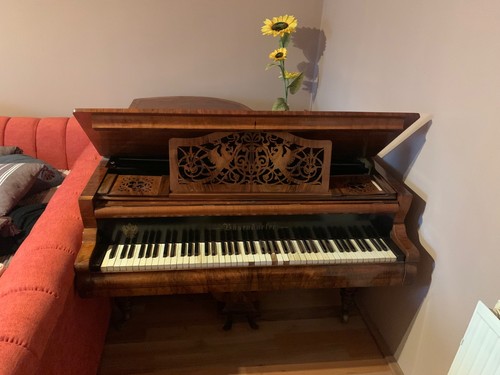 Historischer bösendorfer - historischer,