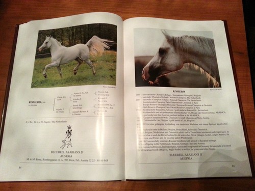 Araber hengstbuch europa - hengstbuch, 1991