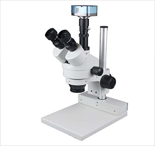 Radical lang 50x zoom - radical,