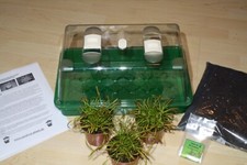 Fleischfressende Pflanzen komplett Set, 3 Pflanzen und 100 Samen!- Kap Sonnentau