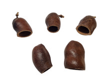 5 x Courbaril Schote  Natur