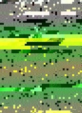 Tanzen können auch die