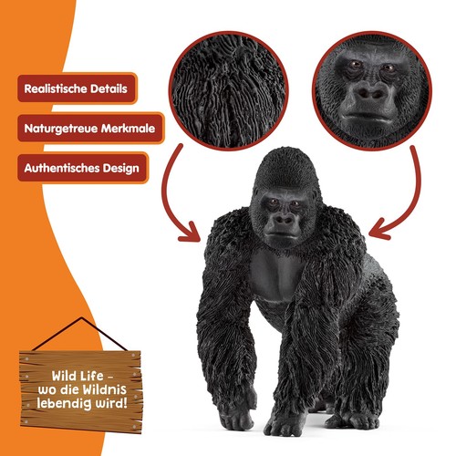 Gorilla männchen 14770 - gorilla,