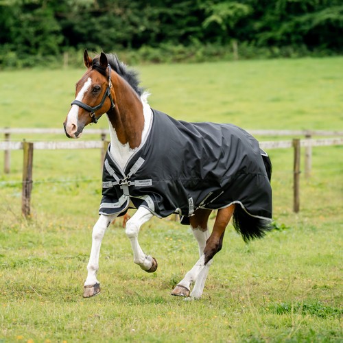Horseware amigo bravo xl - bravo,