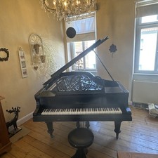 Blüthner flügel - blüthner,