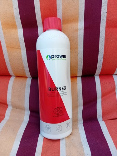 Prowin backofenreiniger burnex - prowin,