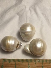 3 stücke BIG Größ Perlen Salzwasser Südseeperlen 13x17+13x15 mm