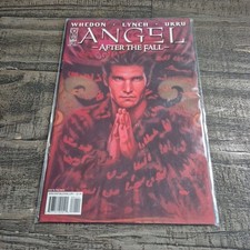 Angel After the Fall #1 Comic