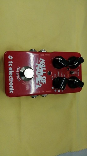 Electronic hall of fame2 - tc,