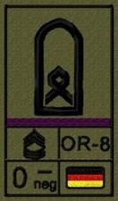 Bundeswehr Rangabzeichen, Klett mit Blutgruppe und Litze, Hauptfeldwebel OR-8