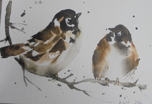 Orig aquarell spatzen - orig.aquarell, "spatzen-vogel"