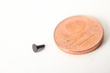 Arnold Rapido Spur N