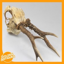 alter Vintage Hirsch Hirsch