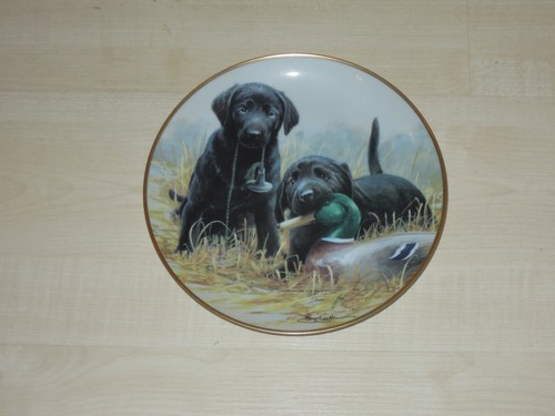 Franklin mint royal doulton - franklin,