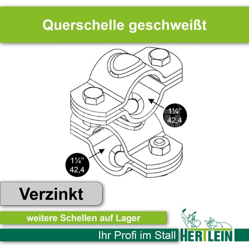 Querschelle kreuzschelle - querschelle,