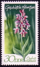 1566 Heimische Pflanzen