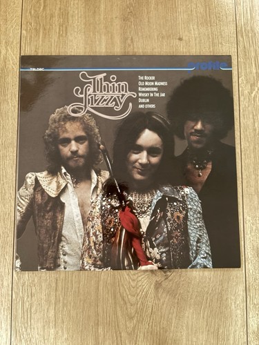 Vinyl schallplatte thin - vinyl, lp