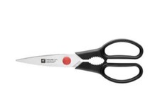 Zwilling twin - twin, l