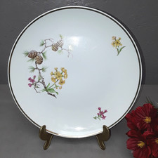 PMR 1 x Speiseteller Bavaria