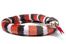 Kuscheltier - Schlange