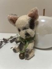 Miniature Teddy-Bulldogge